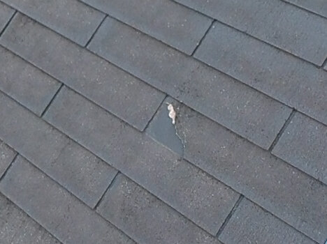 屋根に大きめの欠けがありました。位置的に下の屋根材を止める釘が見えるかもしれません。
